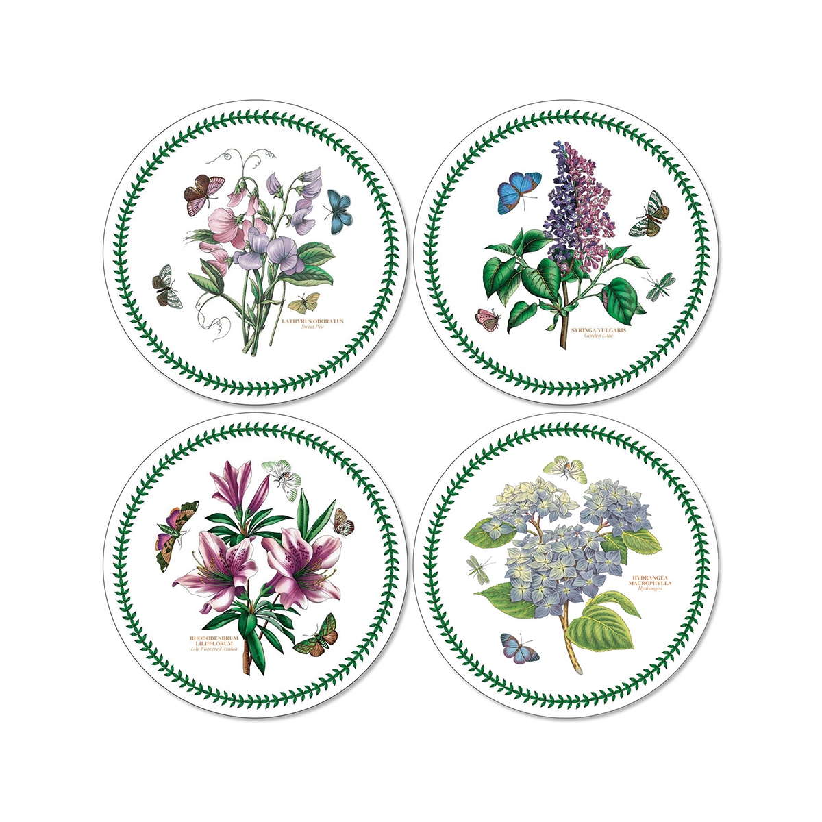 Set di 4 tovagliette rotonde da tavola Portmeirion Botanic Garden Promozione Set di 4 tovagliette rotonde da tavola Portmeirion Botanic Garden Promozione