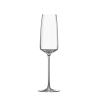 Set 6 calici flûte bicchieri degustazione per cucina bar 250ml Siesta Vendita