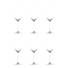 Set 6 calici champagne spumante degustazione in vetro 250ml Shanghai Promozione