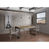 Tavolo allungabile 18 posti design industrial 90×180-440 Tecno Evolution Stock