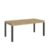 Tavolo allungabile industriale metallo legno 18 persone 90×180-440 Everyday Promozione