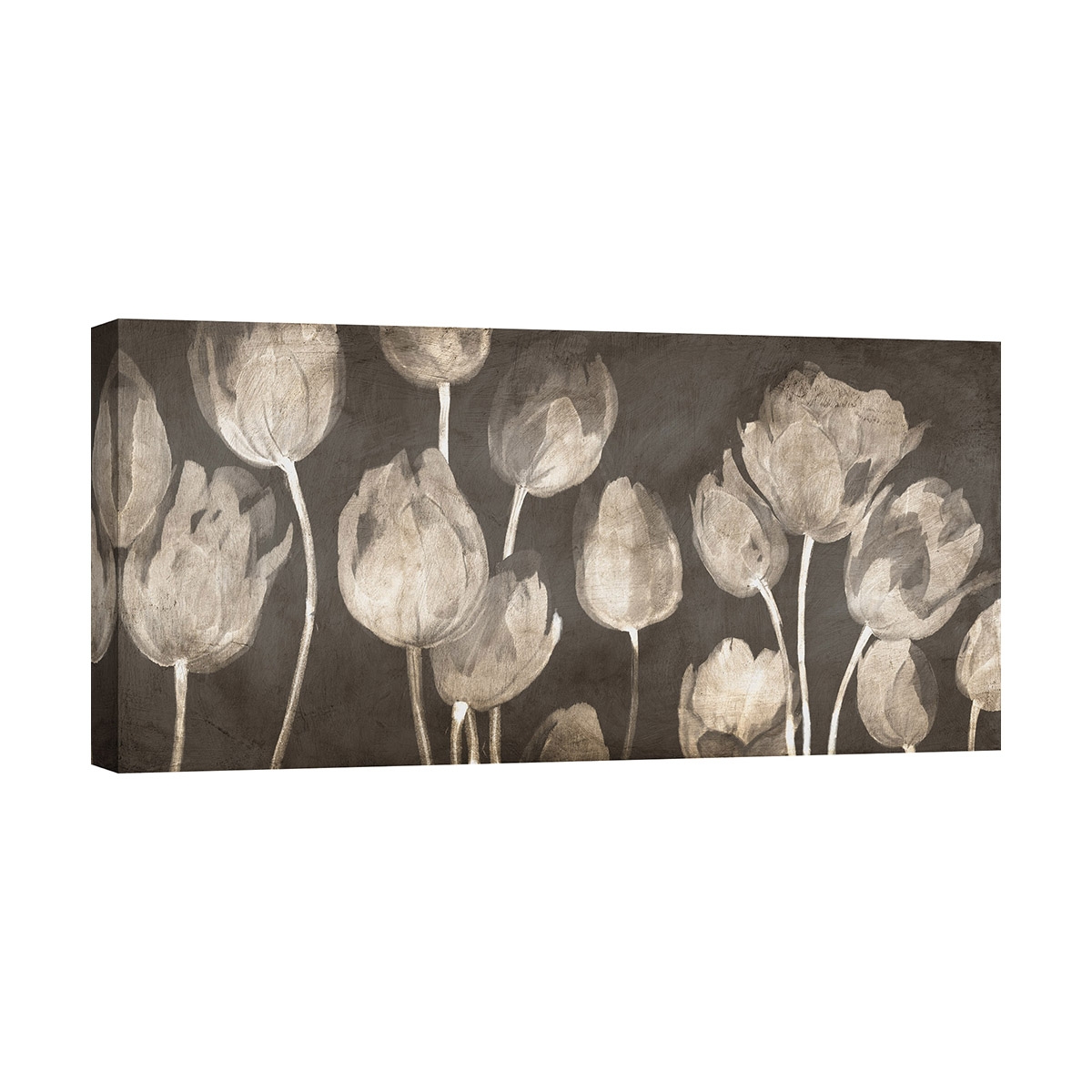 Quadro tulipani stampa moderna su tela Washed Tulips Luca Villa Promozione