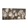 Quadro tulipani stampa moderna su tela Washed Tulips Luca Villa Promozione