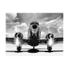 Quadro stampa su tela bianco nero aereo vintage Airplane taking off Offerta