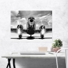Quadro stampa su tela bianco nero aereo vintage Airplane taking off Saldi