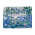 Quadro stampa impressionista su tela canvas Waterlilies Claude Monet Offerta
