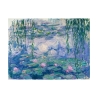 Quadro stampa impressionista su tela canvas Waterlilies Claude Monet Offerta