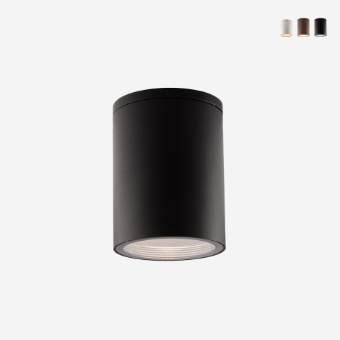 Plafoniera moderna da soffitto esterno a cilindro in alluminio Citizen Promozione