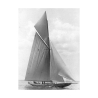 Stampa su tela The Vanitie During the America's Cup, 1910 Edwin Levick Offerta