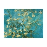 Stampa su tela quadro impressionismo Mandorlo in fiore Vincent van Gogh Offerta
