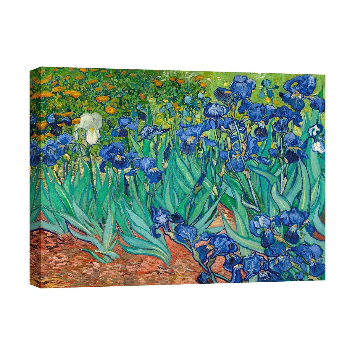 Stampa su tela canvas quadro impressionista Iris Vincent van Gogh Promozione