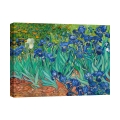 Stampa su tela canvas quadro impressionista Iris Vincent van Gogh Promozione