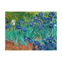 Stampa su tela canvas quadro impressionista Iris Vincent van Gogh Offerta