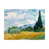 Stampa su tela impressionismo Campo di Grano con Cipressi van Gogh Offerta