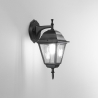 Lanterna da esterno parete giardino in alluminio e vetro Roma Downlight Vendita