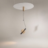 Lampada a sospensione LED moderna con faretto regolabile Maytoni Enigma 