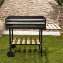 Barbecue a carbonella con griglie altezza regolabile e ruote Braska Offerta