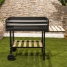 Barbecue a carbonella con griglie altezza regolabile e ruote Braska Offerta