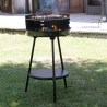 Barbecue a carbonella con griglia regolabile rotonda Ø 38cm Grato Offerta