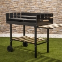 Barbecue a carbonella con griglie altezza regolabile e ruote Braska Vendita