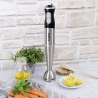 Frullatore ad immersione in acciaio inox 600W Mon Chef Vendita