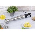 Frullatore ad immersione in acciaio inox 600W Mon Chef Saldi
