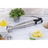 Frullatore ad immersione in acciaio inox 600W Mon Chef Saldi