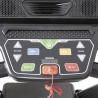 Tapis roulant elettrico pieghevole professionale con inclinazione Everest Catalogo