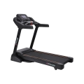 Tapis roulant elettrico pieghevole professionale con inclinazione Everest Promozione