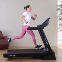 Tapis roulant elettrico pieghevole professionale con inclinazione Everest Vendita
