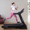 Tapis roulant elettrico pieghevole professionale con inclinazione Everest Vendita