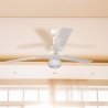 Ventilatore da soffitto con luce 3 pale 5 velocità Windy Vendita