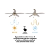 Ventilatore da soffitto con luce 5 pale funzione reverse Windy Saldi