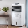 Raffrescatore portatile 3in1 umidificatore purificatore d'aria Triofresh Vendita