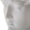 Scultura decorativa testa uomo in resina 44x35,5x60cm David Stock