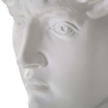 Scultura decorativa testa uomo in resina 44x35,5x60cm David Stock