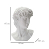 Scultura decorativa testa uomo in resina 44x35,5x60cm David 