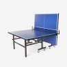Tavolo ping pong 274x152,5cm interno esterno professionale pieghevole completo Ace Misure