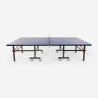 Tavolo ping pong 274x152,5cm interno esterno professionale pieghevole completo Ace Prezzo