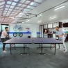 Tavolo ping pong 274x152,5cm professionale pieghevole con tendirete racchette palline Booster Saldi