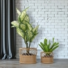 Set 2 portavasi rotondi in metallo e rattan Panama Vendita