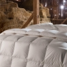 Piumone matrimoniale quattro stagioni king size 250x200cm Islanda Offerta
