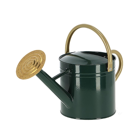 Annaffiatoio con bocchetta tonda per giardino e balcone Verde S Promozione