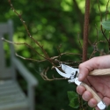Attrezzo da giardino multiuso cesoia in acciaio e legno Vendita