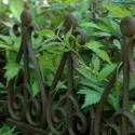 Recinzione bordura per aiuole in ghisa decorativa 38cm Vendita
