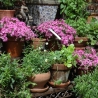 Etagere scaffale portavasi angolare da esterno giardino 3 ripiani Offerta