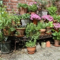 Etagere scaffale portavasi angolare da esterno giardino 3 ripiani Vendita