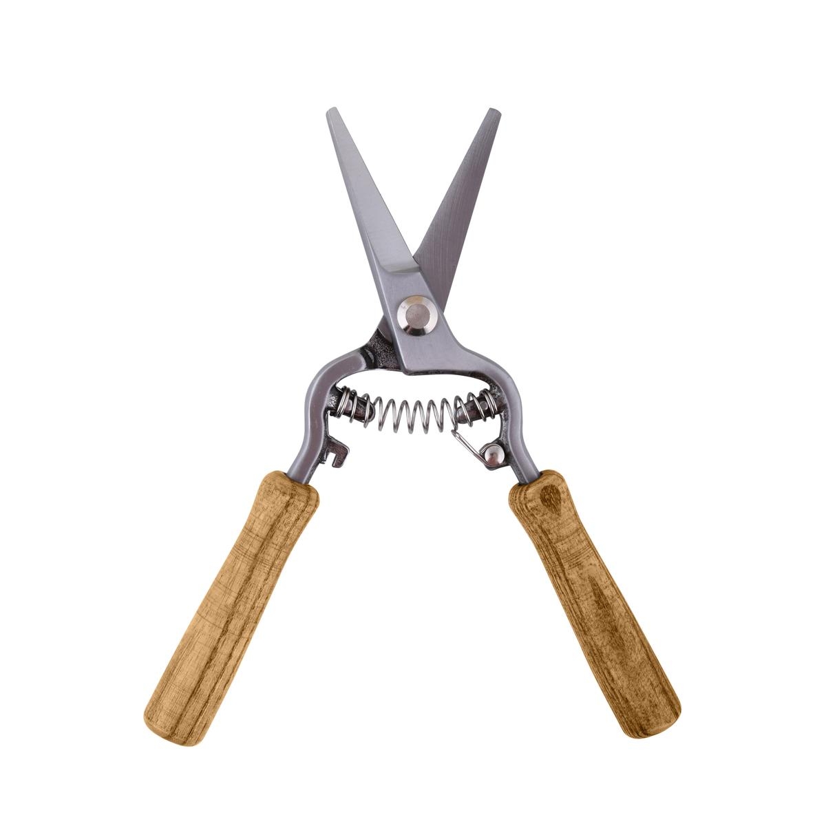 Forbici per potatura fiori in acciaio e legno frassino Promozione Forbici per potatura fiori in acciaio e legno frassino Promozione
