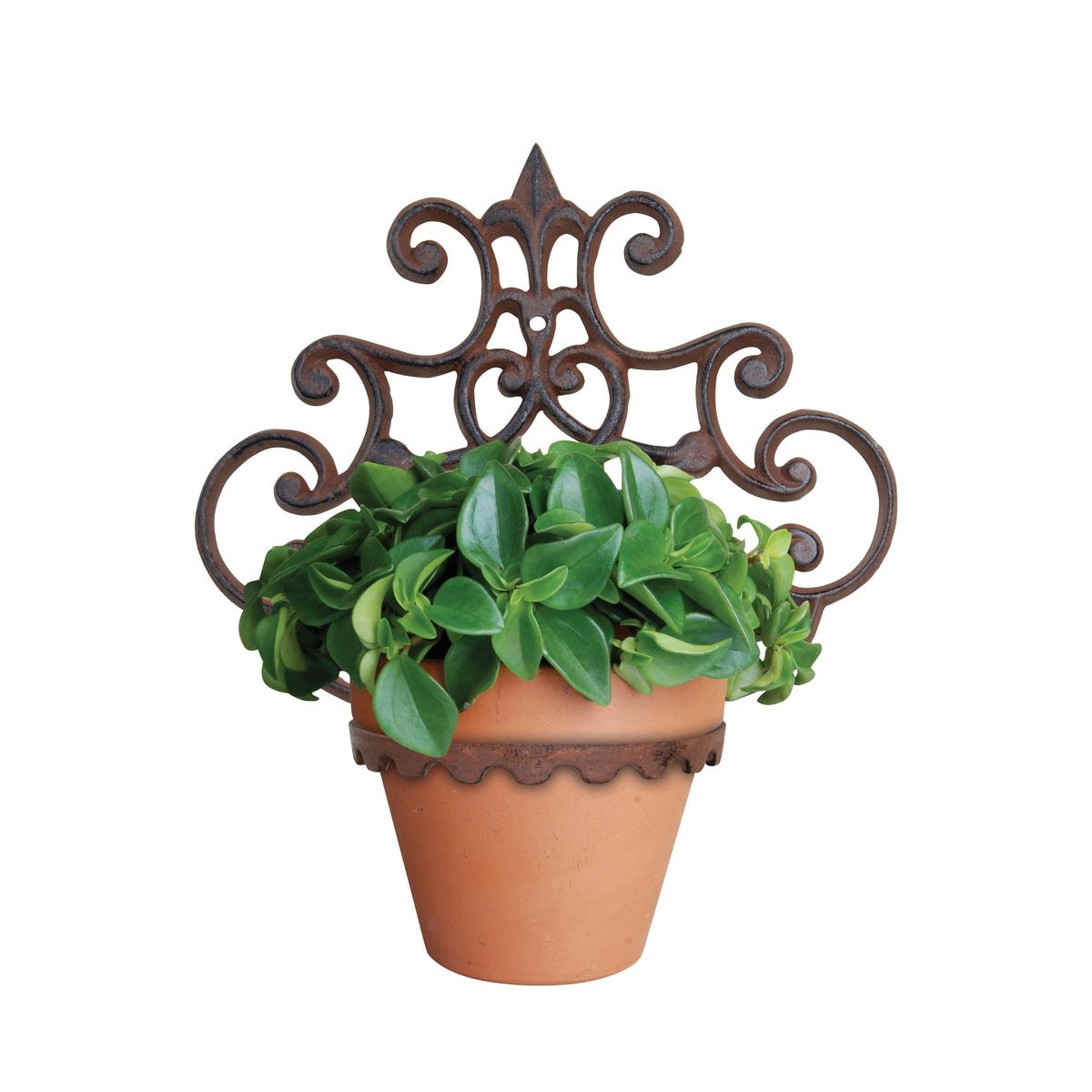 Portavaso da parete stile classico per vasi diametro 13 cm Promozione Portavaso da parete stile classico per vasi diametro 13 cm Promozione