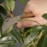 Set per potatura con attrezzi da giardinaggio Sconti
